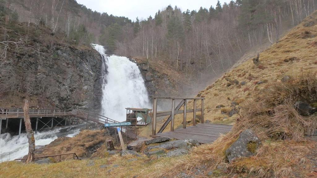 Side 3 oversett av kartleggar. Vi fann ikkje spisslønn slik kartleggar har gjort, men det er mykje platanlønn i nedre del av vassdraget.