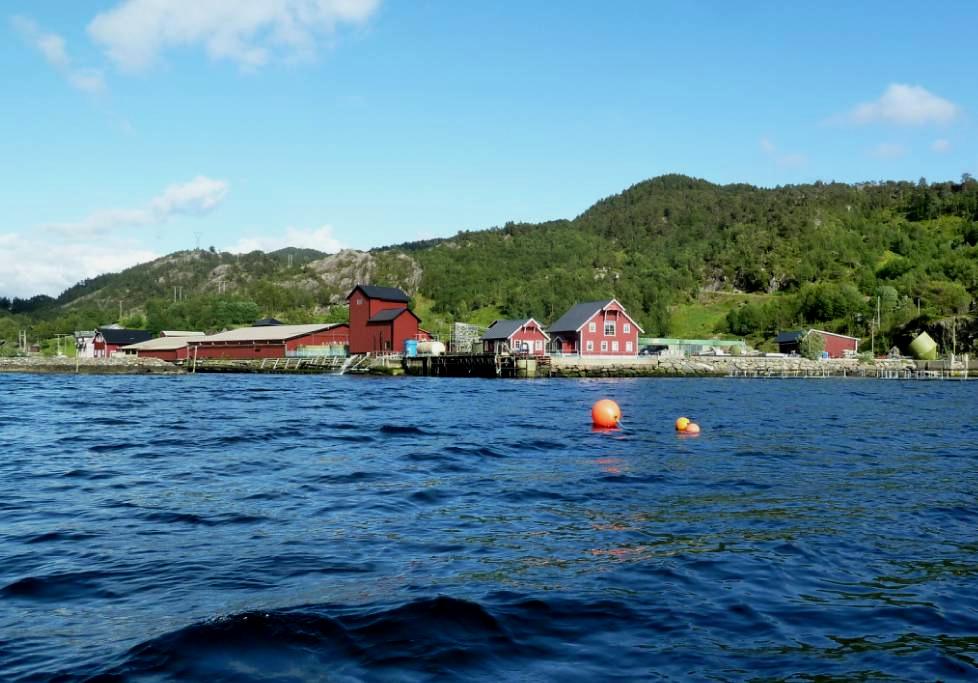 Resipientundersøkelse i sjøområdene utenfor Marine Harvest Norway AS avdeling