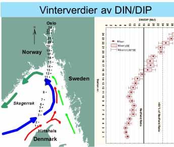 18 16 Ferryboks-data (4 m dyp) fra Ytre Oslofjord desember-februar 27-211 Klorofyll (µg/l) <=.2 (.2;.62] NO 3 -N/PO 4 -P (vektforhold) 14 12 8 Inkluderer bare data med [PO 4- P]:[totP] <=.