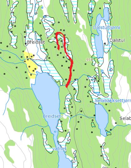 71. Breisethallet Vei til hyttefelt øst for Breisetvatnet Navneforslag: BREISETHALLET