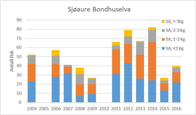 Figur 45. Antall sjøaure (øverst) og laks (nederst) i ulike størrelsesklasser registrert under gytefisktellinger i Bondhuselva i perioden 2004-2016. I 2005 og 2010 ble det ikke utført tellinger. 9.