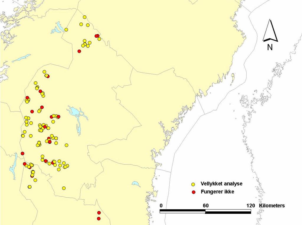 3.2 Det svenske materialet 3.2.1 Suksessrate og genotypingskvalitet Hele 119 av de 145 innsamlede prøvene i Jämtland og Dalarna (82 %) gav DNA av god nok kvalitet til å kunne analyseres (Figur 12).