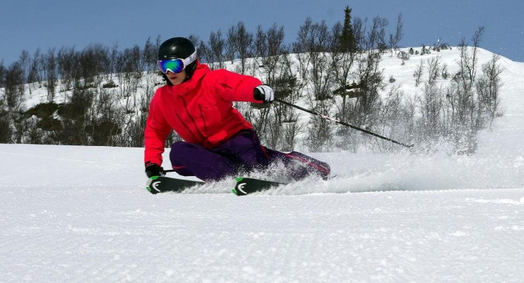 CARVINGKURSET Ta på skiene og la en erfaren skitrener guide deg gjennom skienes verden. Små forandringer i din skiteknikk kan gi deg maksimal opplevelse - la oss inspirere og utvikle deg på ski.