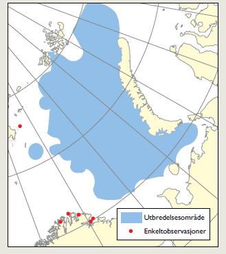 U tbredelse i Barentshavet Populasjonsgenetikk Utbredelse basert på bifangster på økosystemtokten høsten 2014 PacificOcean Alaska Russia Canada Greenland Sundet 2014