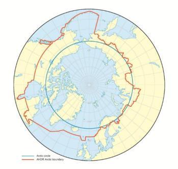 verdi=434 mill CAN Kommersielle fangster ALASKA Minimum lovlig størrelse 78 mm ryggskjoldbredde Startet1970 tallet, topp på 90-tallet (68 000 tonn) men fisket krasjet i 2000