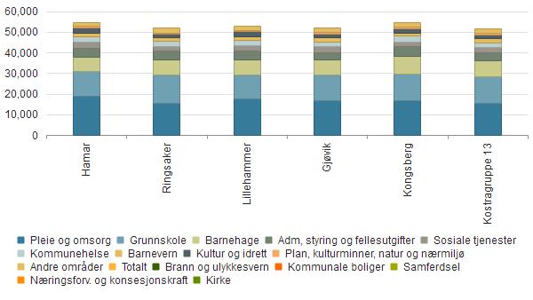 Vurdering for kommunen Utgifter og formål sammenlignet med andre Hamar Ringsaker Lillehammer Gjøvik Kongsberg Kostragruppe 13 Pleie og omsorg 18 994 15 589 17 472 16 837 16 716 15 677 Grunnskole 11