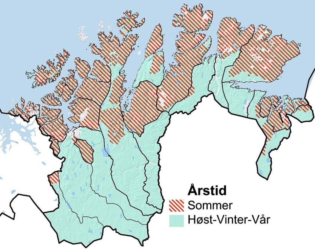 Kapasitet sommerbeiteområder for rein i praksis foregår «all»