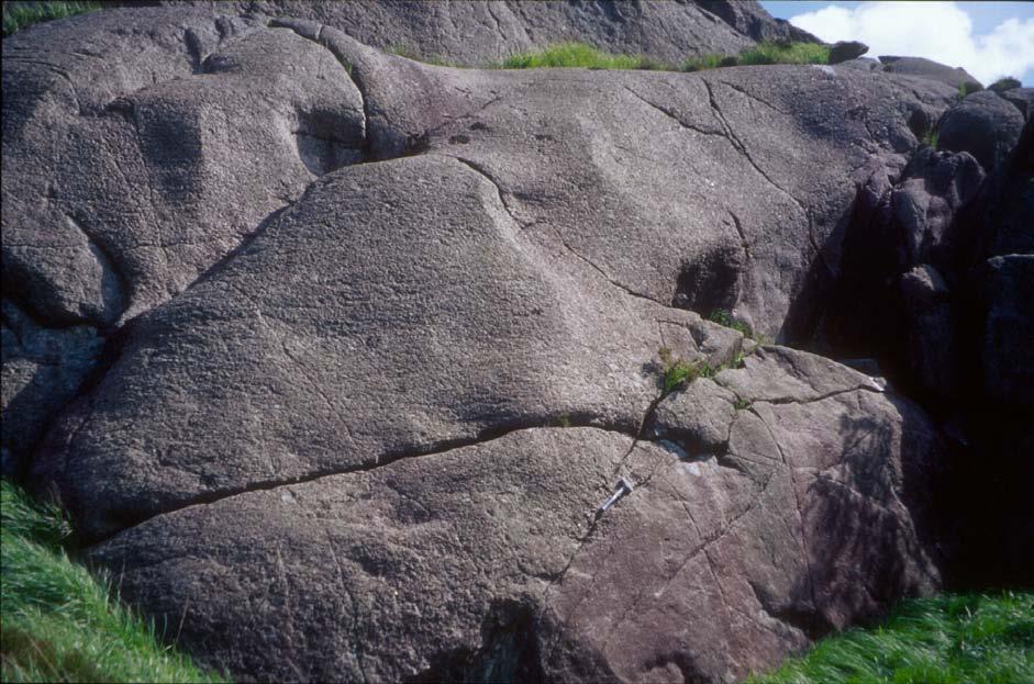 Figur 6. Parti fra nordvestsiden og nedre del av subområde c.