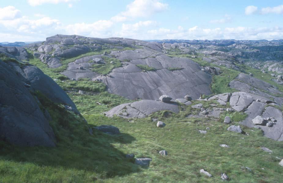 Figur 8: Subområde d sett mot sørvest.