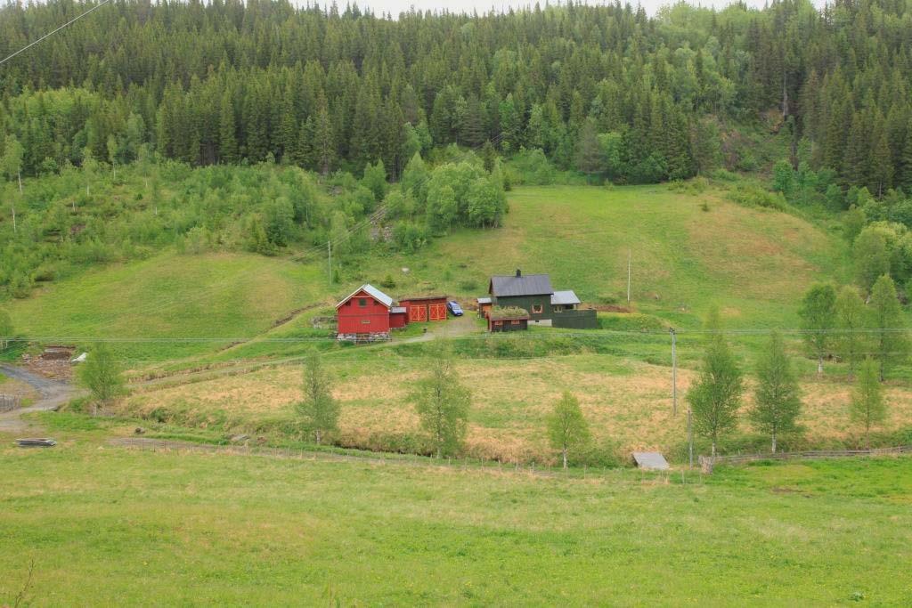 Lokaliteten videreføres etter reinventering i 2016, men naturtypeverdien reduseres fra svært (A) til (B) på grunn av endret hevd.