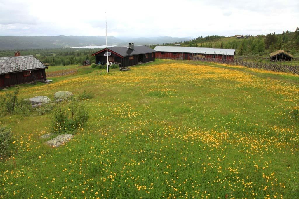 Foto fra naturtypelokaliteten Stuvelie i Etnedal kommune tatt 25.