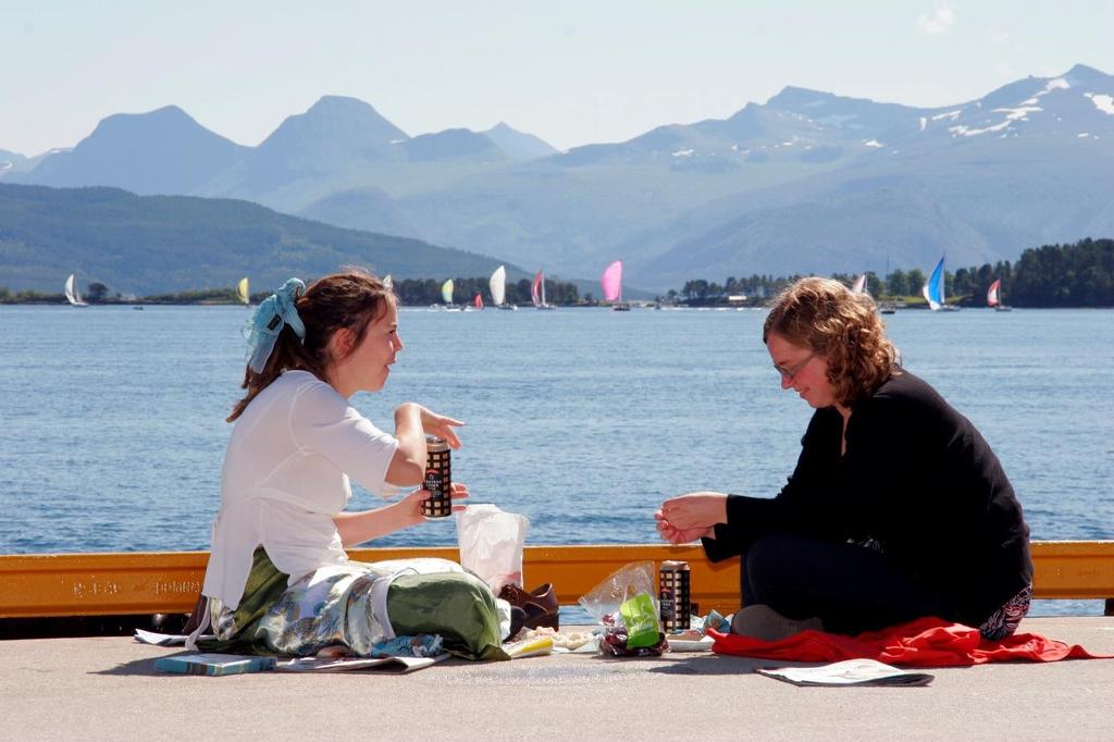 Innledning Gjennom Romsdal Regionråd (ROR) har kommunene som inngår i samarbeidet opparbeidet et sterkt felleskap basert på gjensidig respekt og tillit.