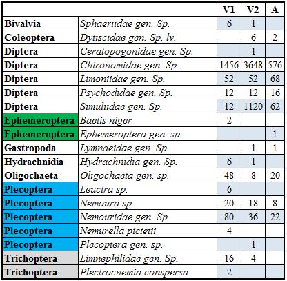 Vedlegg A. Resultater bunndyr Tabell A 1.