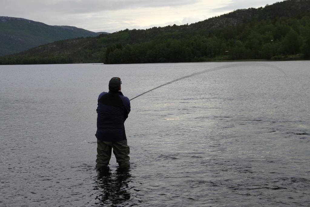 Sportsfisket 2015 Fisketid: 1. juni 31. august Kvote: 3 laks pr. fisker, ikke kvote på sjøørret Det har blitt innrapportert fangst av 57 laks. Dette utgjør 13, 2 % av årets oppgang registrert i rusa.