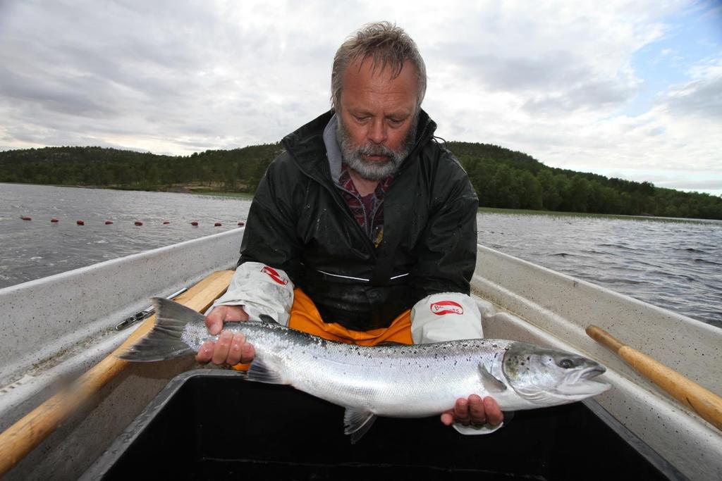 Laksen hadde fin snittstørrelse i 2015 Størrelsen på sjøørret og tidsrom for oppgang i 2015 Mai Juni Juli August September Oktober Under 300 mm: 0 0 1 12 20 0 300 399 mm: 1 22 33 34 61 39 400 499 mm: