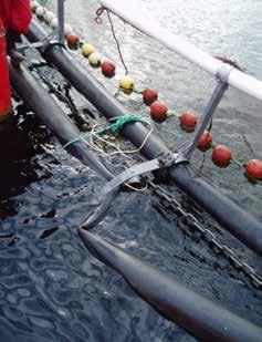 Gjennomgangen gir både næringen og forskerne en god oversikt over årsakene til at fisk rømmer fra norske oppdrettsanlegg.