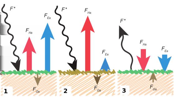 Figure 1: Flukser av netto stråling F, følbar varme F Hs og latent varme F Es Oppgave 5 a) På hvilke tre måter kan energi overføres fra et sted til et annet?