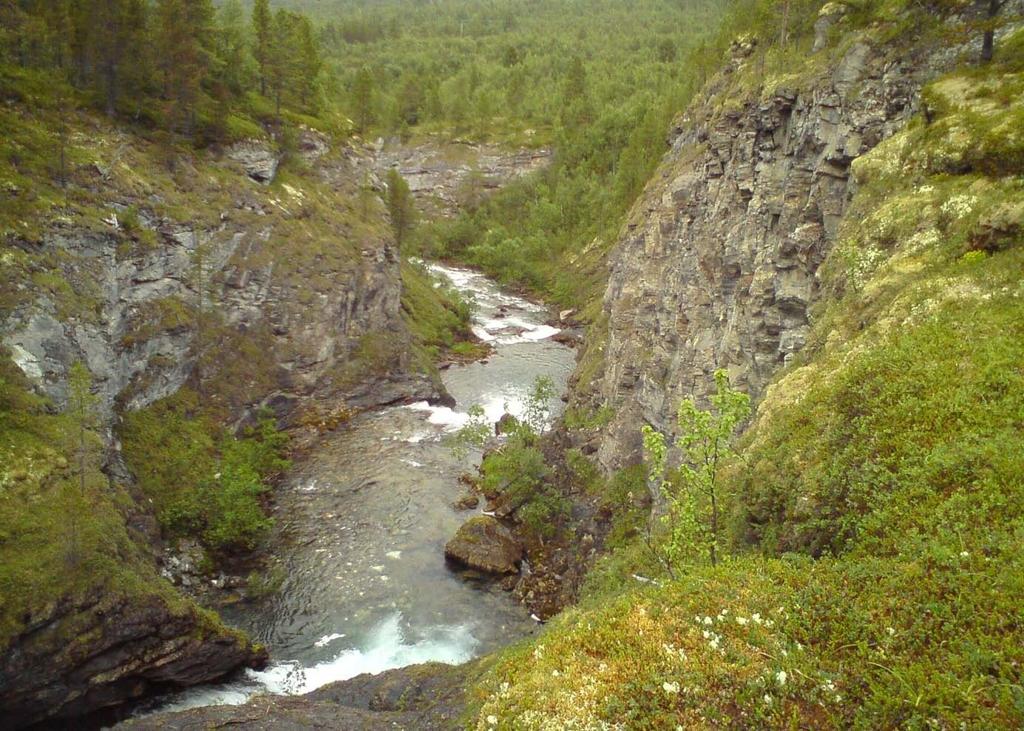 Elva gir stabile fosserøykmiljøer da den henter vann fra høytliggende breer i Oksfjordtindene. Foto: Terje Blindheim. Sagelva, Salangen (TR).