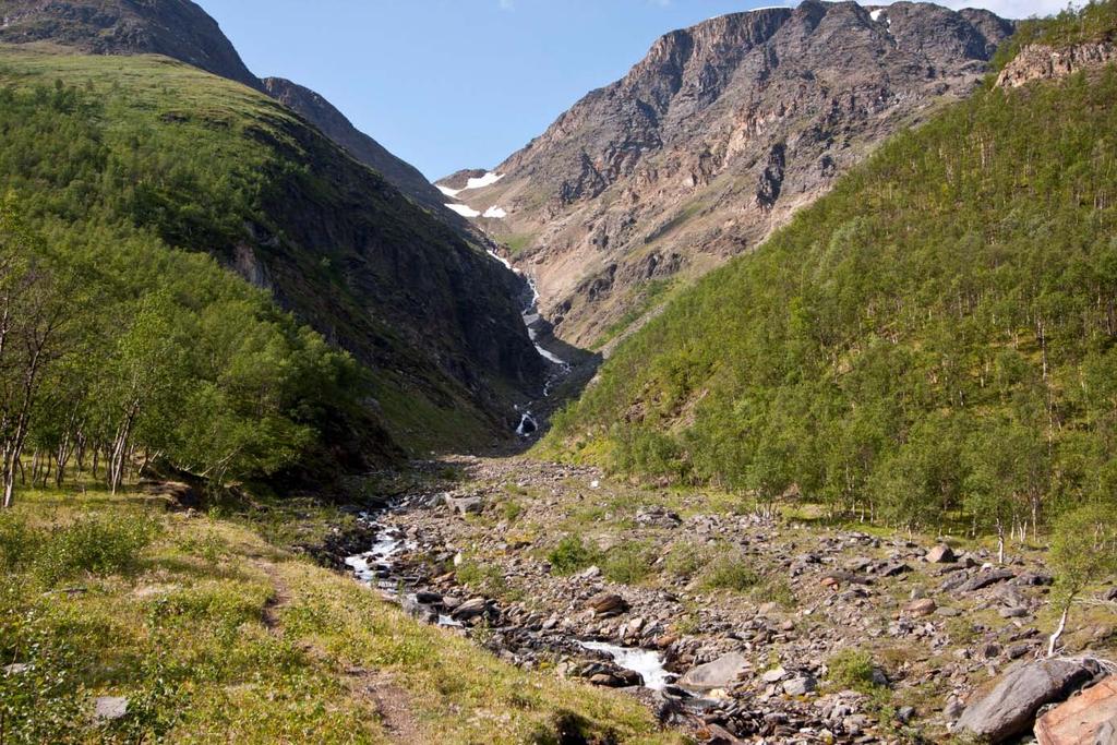 - Naturfaglige registreringer av bekkekløfter i Buskerud, Sogn og Fjordane, N-Trøndelag, Nordland og Troms