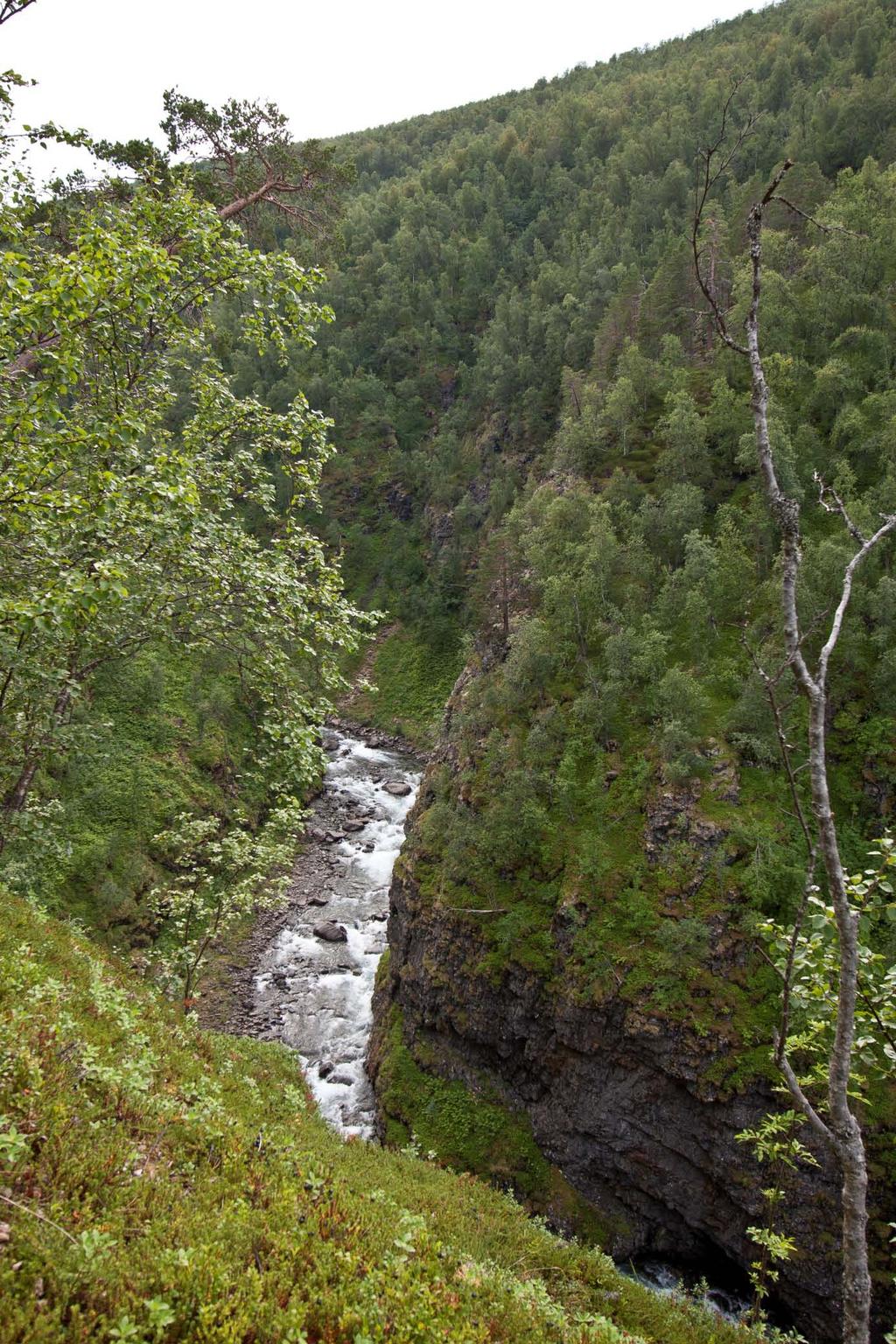 - Naturfaglige registreringer av bekkekløfter i Buskerud, Sogn og Fjordane, N-Trøndelag, Nordland og Troms 2008-0 - Iselva, Målselv (TR). Dyp og dramatisk elvekløft med preg av canyon.