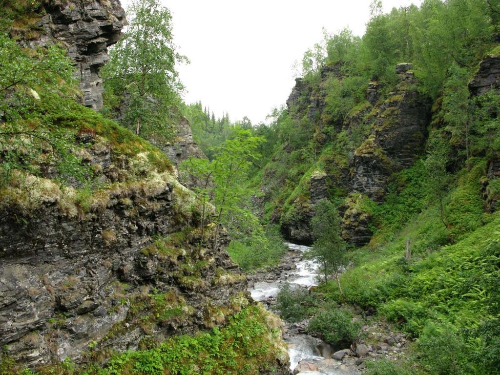 - Naturfaglige registreringer av bekkekløfter i Buskerud, Sogn og Fjordane, N-Trøndelag, Nordland og Troms 2008-0 - Skjerdalen, Målselv (TR).