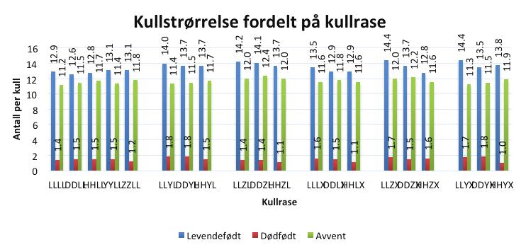 Figur 5: Forskjeller i antall beregna avvente mellom purkeraser Bedre tilvekst og fôreffektivitet For smågris og slaktegris er det også fi n framgang for tilvekst og fôrforbruk.