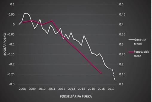 Genomisk seleksjon ble innført i 2014 og har gitt et taktskifte i avlsfremgangen.