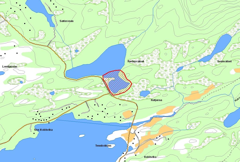 Prioritert viltområde 1 Rødøyvatnet Verdisetting A svært viktig viltområde Høyde over havet (m) 24 UTM (WGS84) 33W WR 554 814 Lokaliteten er den sørøstre delen av Rødøyvatnet.