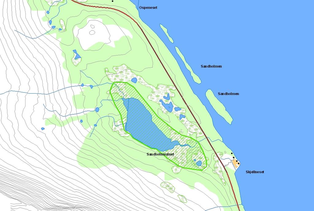 Prioritert viltområde 9 Sandholmvatn Verdisetting B viktig viltområde Høyde over havet (m) 22 UTM (WGS84) 33W WR 639 724 Lokaliteten er et middels