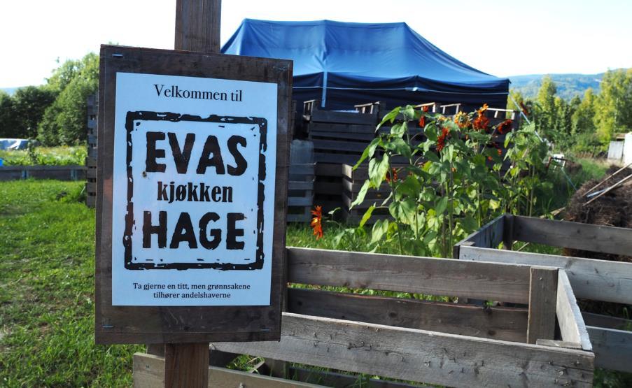 Permakultur - Permakulturhagen hos Evas