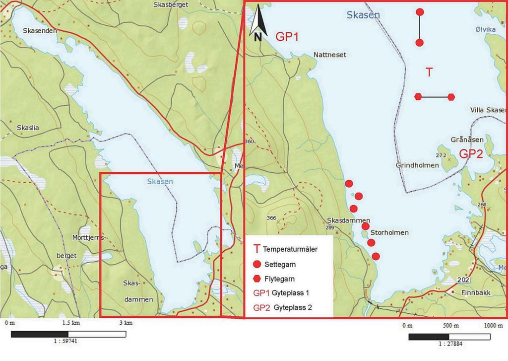 Figur 4. Oversiktskart av fiskeplassene som ble brukt under prøvefisket i Skasen i perioden junioktober 21. I oktober ble det kun fisket på to gyteplasser for røye (GP1 og GP2) (Kart: www.gislink.no).