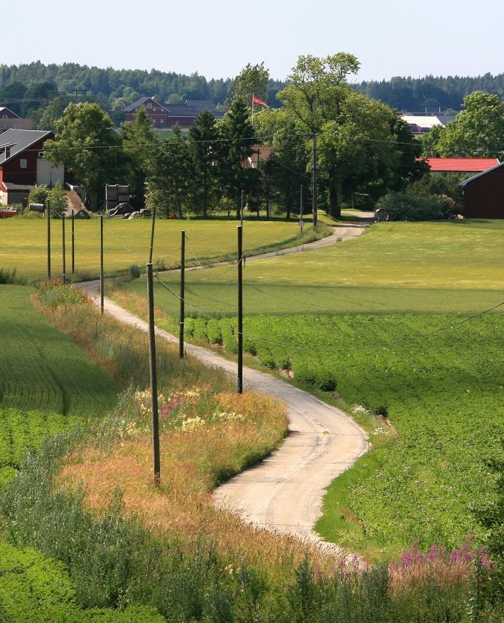 Ferdselsveier % endring Østfold Akershus Vestfold Total lengde av ferdselsveier -1 % 4 % 1 % Gangvei -11 % 29 % 0 % Sti -traktorvei -6 % 5 % 3 %