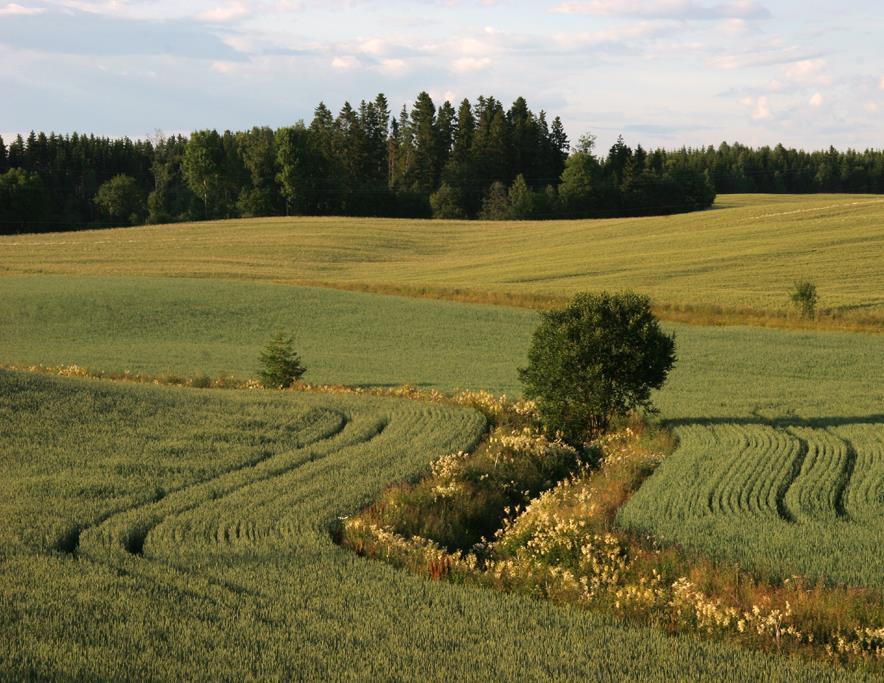 Bekker og grøfter Meter per Endring 1000 dekar Østfold 9 % 642 Akershus 2 % 567 Vestfold 20 % 405 Meter per