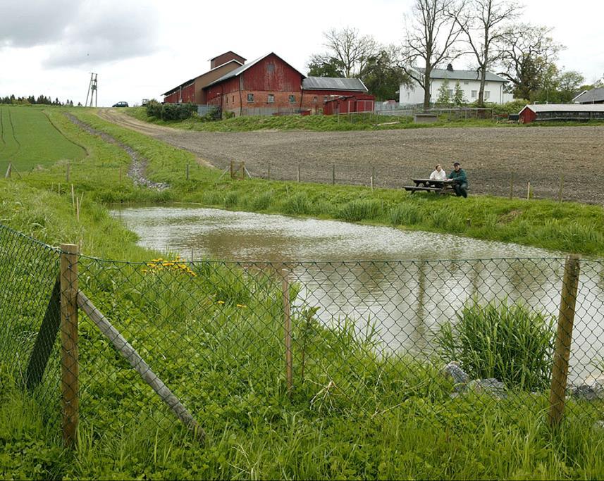 Dammer Økning eller uendra (+ i Vestfold) 27.