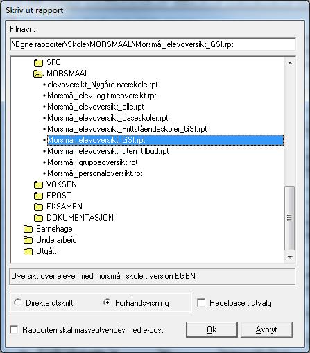 Da får du følgende felt: Da kan du sjekke om elevene er riktig registrert med JA i feltet for grunnleggend norsk, S/Tildelt/NEI i feltet morsmål/tospr.oppl.