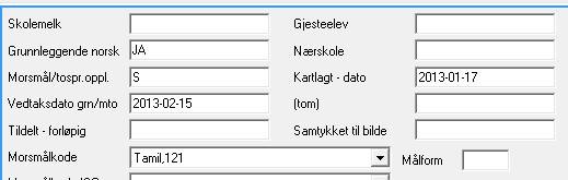 Hvem kan det søkes timer til i grunnleggende norsk og morsmål? Rett til særskilt språkopplæring og morsmålsundervisning er knyttet til elevens språkkompetanse.