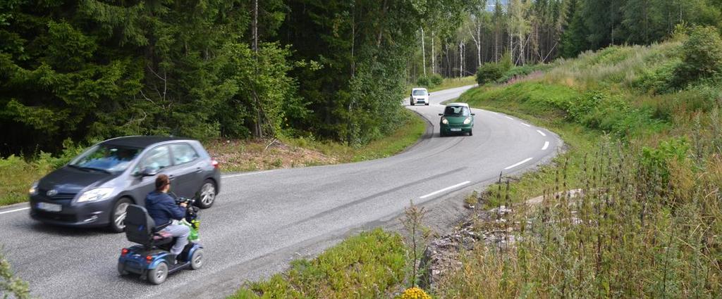 Den nåværende veien er bygget i klassisk Norsk stil etter terrenget, og svinger seg rundt knatter og små åser. Vi tror at veien med enkle midler kunne vært planert ut og rettet.