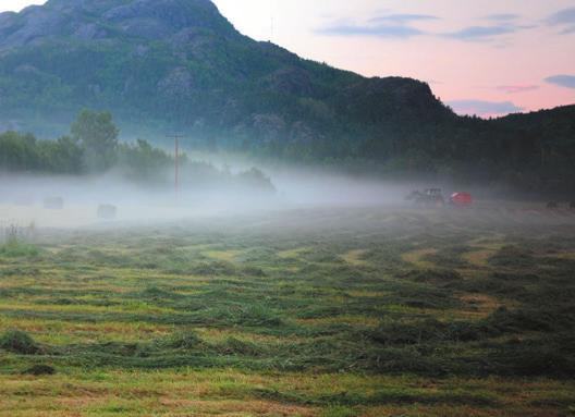 virksomhetsområder Sverre Pavel leder for grunn og rettigheter Jordbruksarbeid på natterstid i Mathisdalen, Alta kommune.