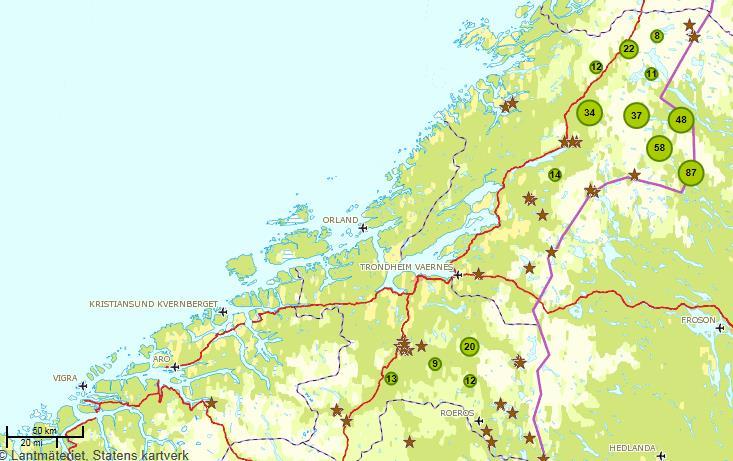 Bjørn Utrede konsekvense ved å etablere yngleområde for bjørn utenfor