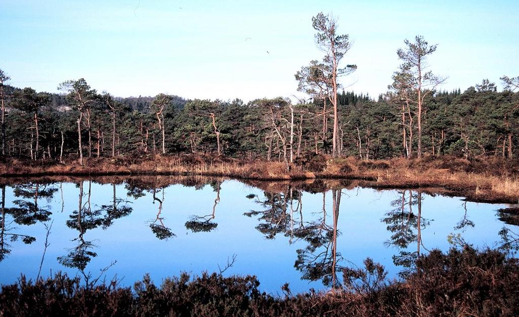 Fylkesmannen i Hordaland Myr til begjær eller besvær?