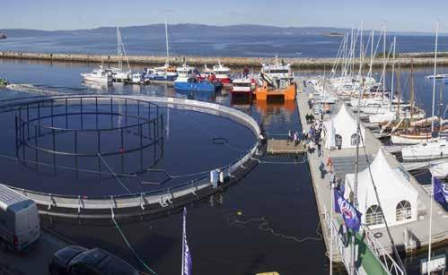 The aquaculture industry has seen a significant progress in the course of these years, and the fields of technology, processes and services related to the farming of salmon, other marine species,