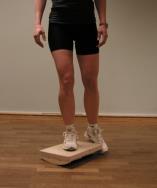 6 postoperatively can significantly improve quadriceps muscle strength without harming the ACL graft (Mikkelsen et.