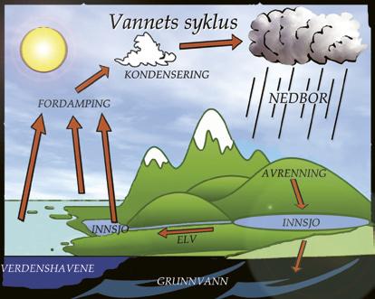 Vannets kretsløp Vannets kretsløp er den kontinuerlige bevegelsen vann har i luft- og jordatmosfæren (jf. figur 3.2).