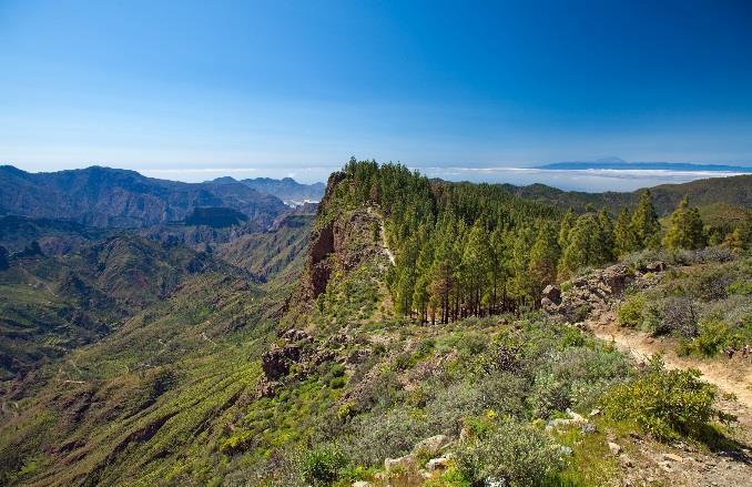 Dag 1 Ankomst (M) Ved ankomst Gran Canaria møter vi vår guide og reiseleder for uken, og bussen tar oss til vårt hotell i Tejeda (ca. 1 times busstur).