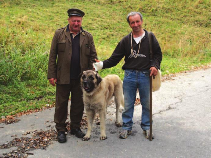 Ilija Elezovi}. U diskusiji koja je usledila ~uli su se i tonovi NADZORNI ODBOR - Va`no je o~uvati jedinstvo lovaca i ja vam na tom planu iskreno ~estitam.