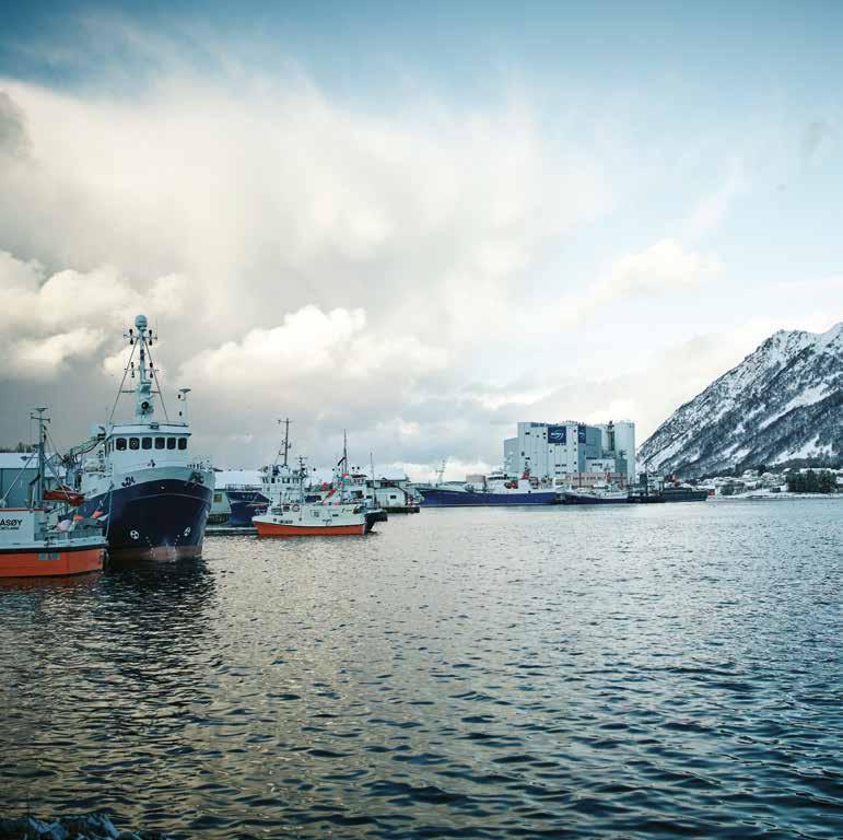 16. En ambisiøs havstrategi LO og Arbeiderpartiet vil utvikle og gjennomføre en ambisiøs havstrategi for Norge.