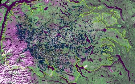 på HV 3-5 000 km 2 Et individ kan