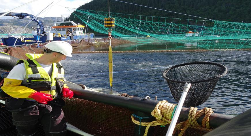 Del C; Praktisk fiskevelferd ved håndtering; Overvåking av velferd ved: 1. Håndteringsoperasjoner Overvåking av trenging av fisk.