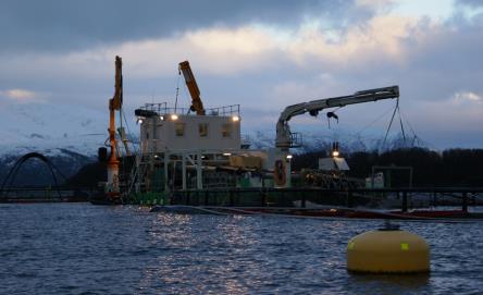 Vaksinering Transport Fôrstyring, underfôring og sulting Renhold og smittehygiene (kar/utstyr) Sortering Undersøkelse av levende fisk 2.