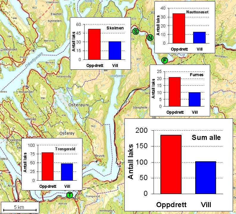 Figur 2: Øvre: Vassdrag, fjordområder og fiskelokaliteter (små punkter) som inngikk i prosjektet. Områdene ligger nord-øst for Bergen.